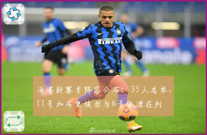 海港新赛季阵容公布：35人名单，11号加布里埃尔与6号张源在列
