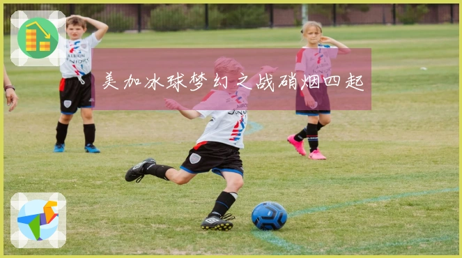 美加冰球梦幻之战硝烟四起