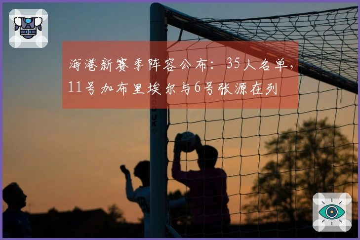 海港新赛季阵容公布：35人名单，11号加布里埃尔与6号张源在列